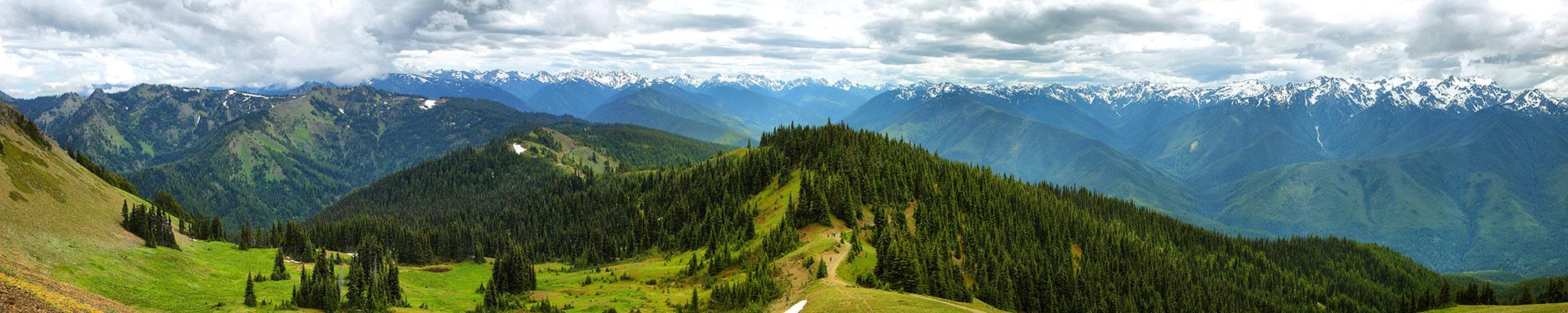 View of Olympic Mountains from Hurricane Ridge