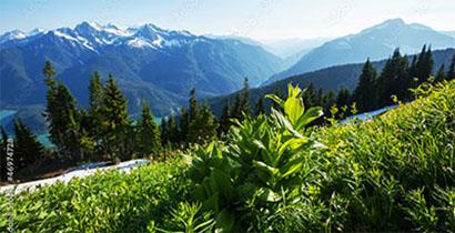 Diablo Lake in the North Cascades